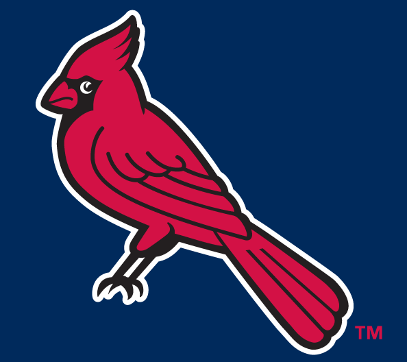 Memphis Redbirds 1998-pres cap logo iron on transfers for clothing